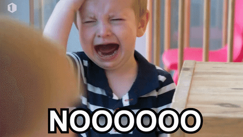 cochenilles présentes sur cactus